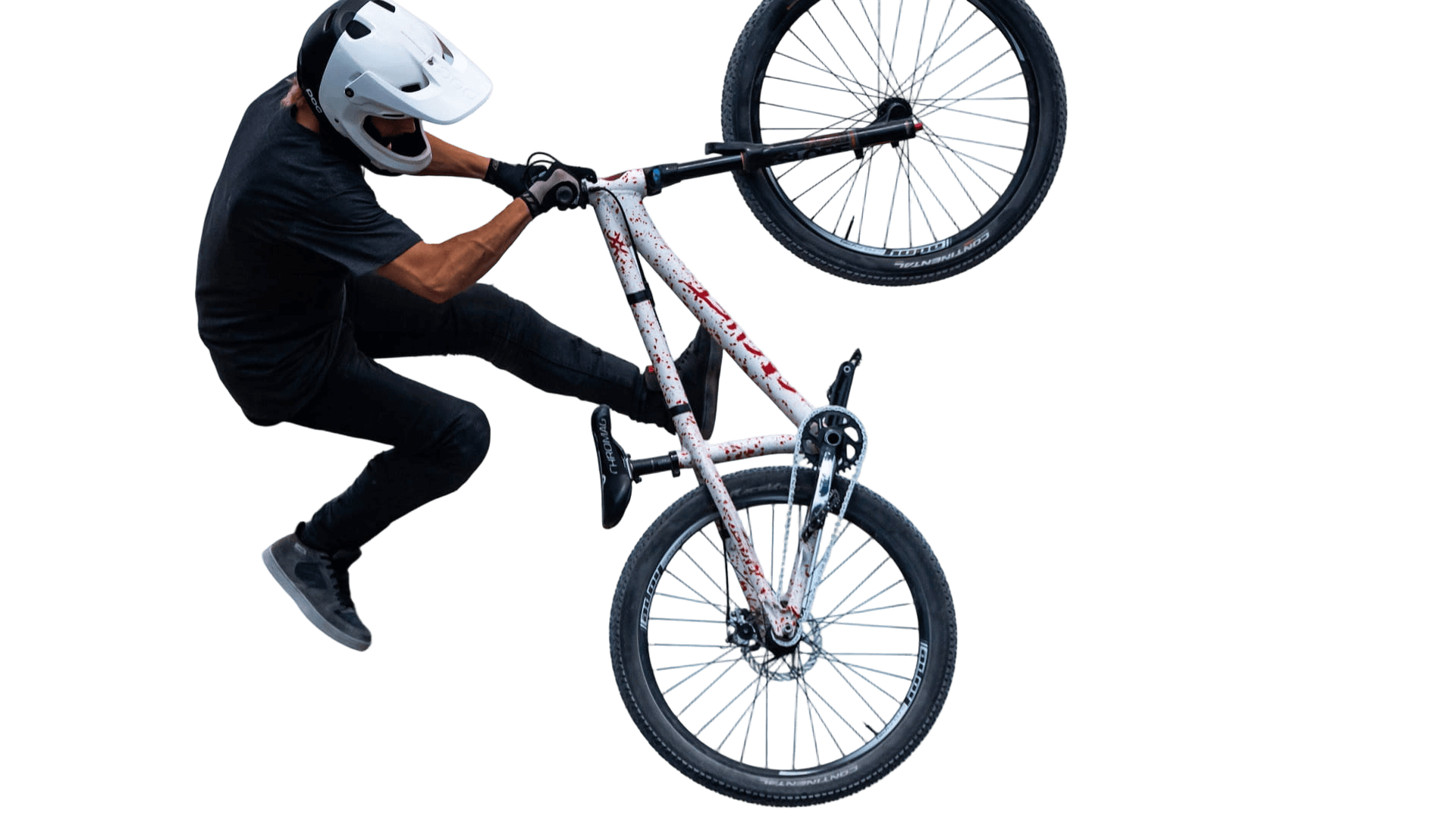 dog remove background